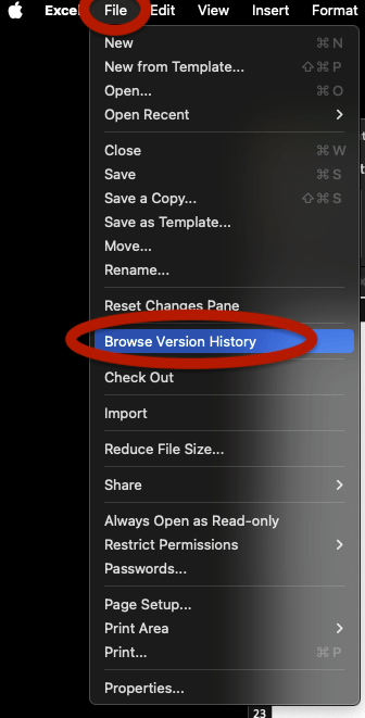 File tab in Excel with "Browse Version History" option in Excel.