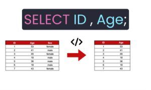 How to Write a Basic SQL SELECT Statement